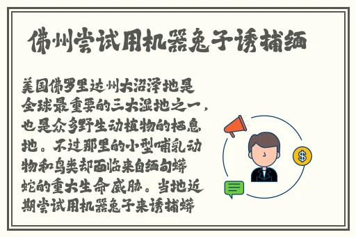 小草回家永不迷路2024